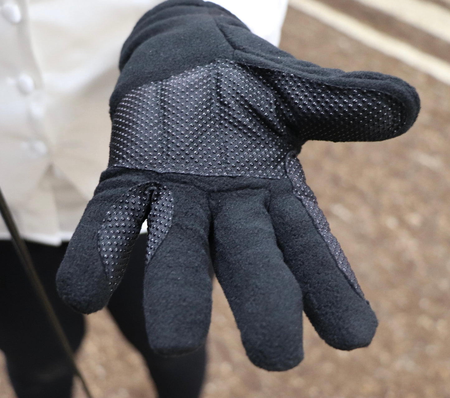 Polar Suede Gloves